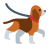 Hundespaziergang icon