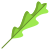 Arugula Leaf icon