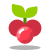 Christmas Berry icon