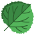 Quaking Aspen Leaf icon