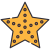 Estrela do Mar icon