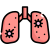 Lung icon