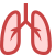 Lungs icon