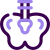 Pelvis icon