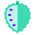 Soursop icon