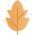 dry Leaf icon