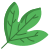 Sassafras Leaf icon