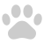 external-animal-pet-shop-creatype- flat-colourcreatype-26 icon