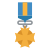 Medal icon