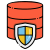 Data Security icon