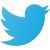 Twitter Logo icon