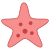 海星 icon