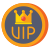 Vip icon