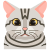 猫 icon