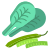 Spinach And Beans icon