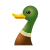 Duck icon