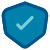 Shield icon