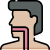 Esophagus icon