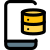 Server access on portable mobile database layout icon