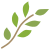 Branch icon