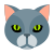 tête de chat icon