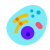 Cellule eucariotiche icon