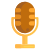 Voice Recorder icon