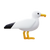 Gaviota icon