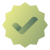 Approval icon