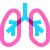 Lungs icon