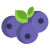 外部-蓝莓-素食-icongeek26-平-icongeek26 icon