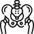 Pelvis icon