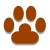 Cat Footprint icon