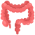 Intestine icon