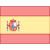 Spain Flag icon