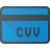 CVV icon