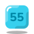 55 icon