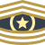 Sargento Mayor de Comando CSM icon