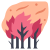 Forest Fire icon