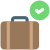 Accepted Luggage icon