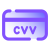 Card Verification Value icon