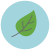 Leaf icon