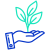 Growth icon