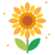 Blossom icon