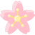 Cherry Blossom icon