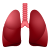 肺の絵文字 icon