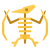 テロダクティルの骨格 icon