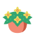 Begonia icon