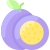 Passion Fruit icon