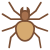 Aranha icon